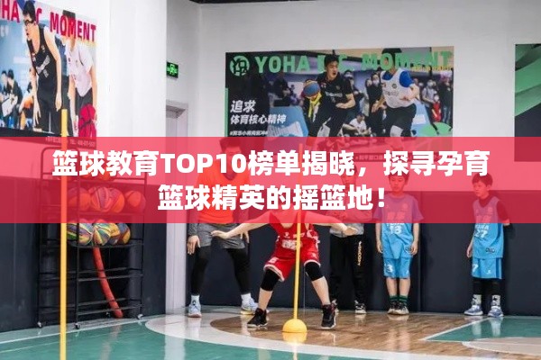 籃球教育TOP10榜單揭曉，探尋孕育籃球精英的搖籃地！