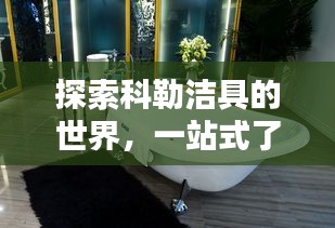 探索科勒潔具的世界，一站式了解科勒官網(wǎng)精品衛(wèi)浴體驗(yàn)