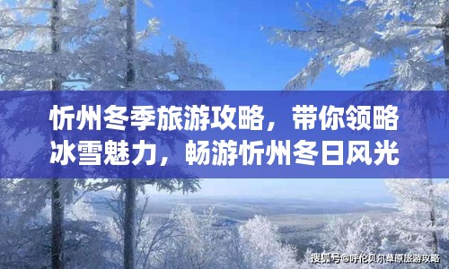 忻州冬季旅游攻略，帶你領(lǐng)略冰雪魅力，暢游忻州冬日風(fēng)光！