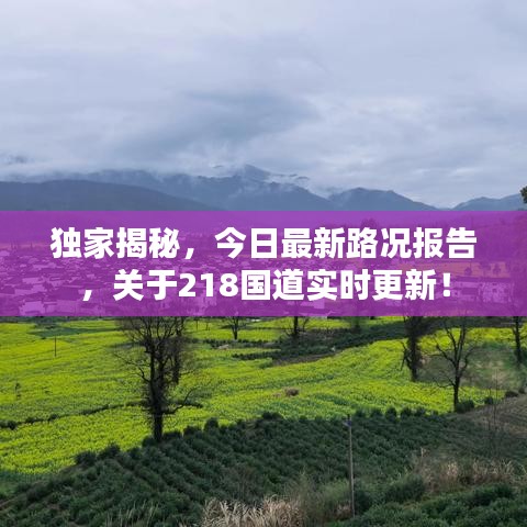 獨家揭秘，今日最新路況報告，關(guān)于218國道實時更新！