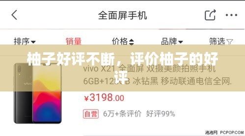柚子好評不斷，評價柚子的好評 