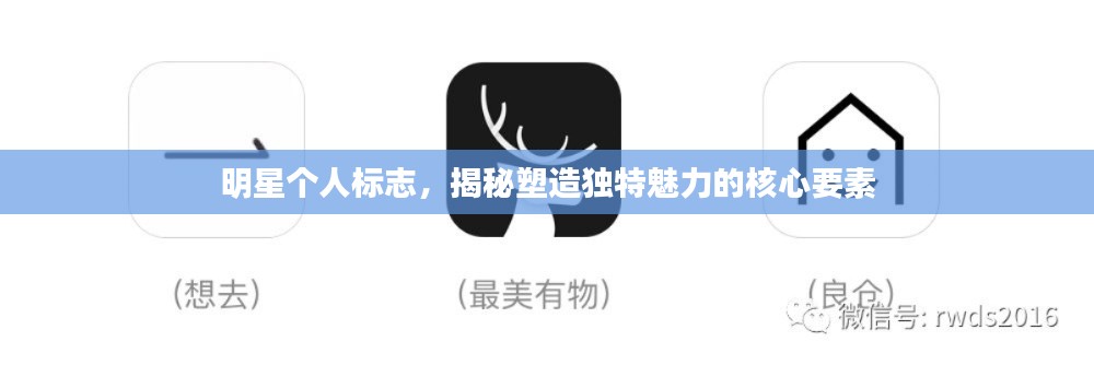明星個人標(biāo)志，揭秘塑造獨特魅力的核心要素