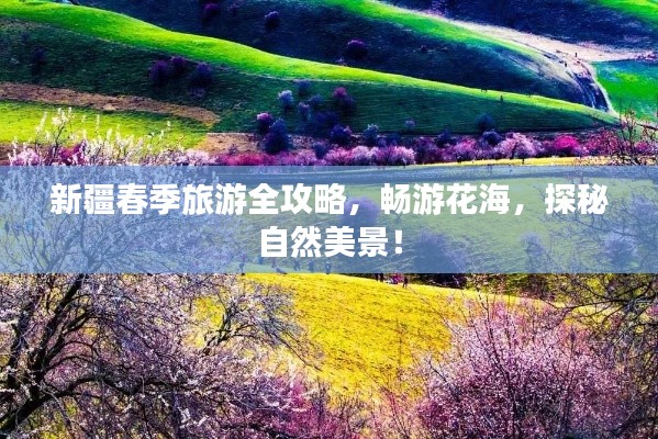新疆春季旅游全攻略，暢游花海，探秘自然美景！