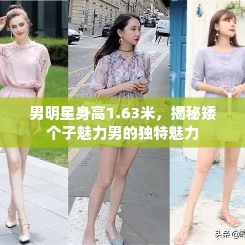 男明星身高1.63米，揭秘矮個(gè)子魅力男的獨(dú)特魅力