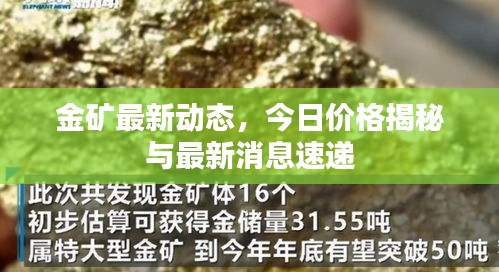 金礦最新動(dòng)態(tài)，今日價(jià)格揭秘與最新消息速遞