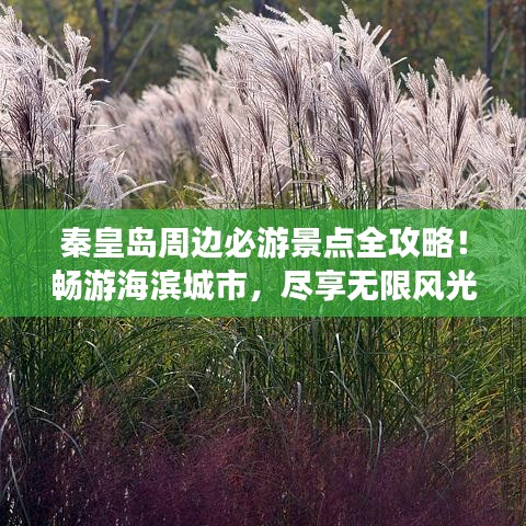秦皇島周邊必游景點(diǎn)全攻略！暢游海濱城市，盡享無限風(fēng)光