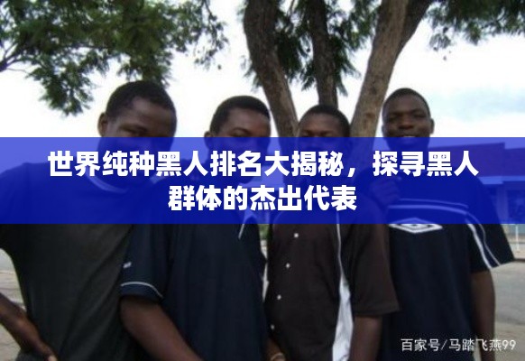 世界純種黑人排名大揭秘，探尋黑人群體的杰出代表