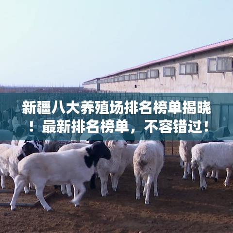 新疆八大養(yǎng)殖場排名榜單揭曉！最新排名榜單，不容錯過！