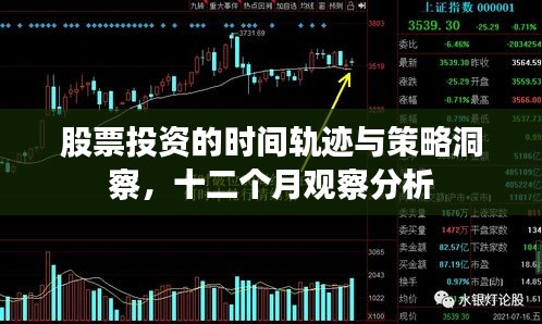 股票投資的時間軌跡與策略洞察，十二個月觀察分析