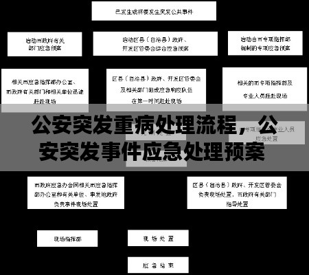 公安突發(fā)重病處理流程，公安突發(fā)事件應急處理預案 