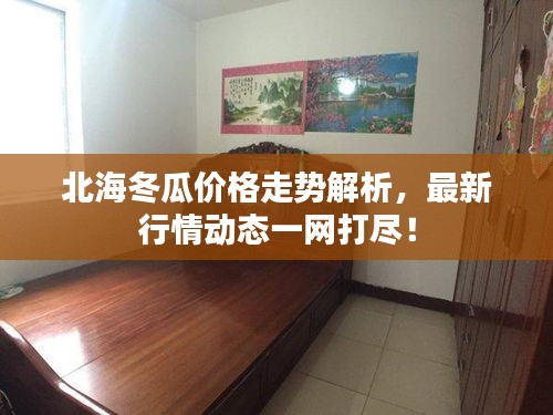 北海冬瓜價格走勢解析，最新行情動態(tài)一網(wǎng)打盡！