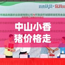 中山小香豬價(jià)格走勢(shì)大揭秘，最新行情分析！