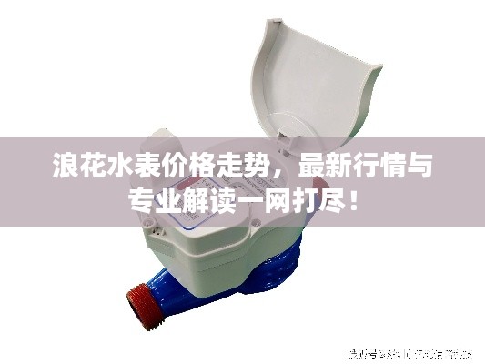 浪花水表價(jià)格走勢(shì)，最新行情與專業(yè)解讀一網(wǎng)打盡！