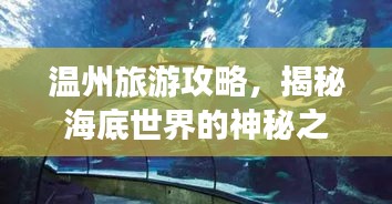 溫州旅游攻略，揭秘海底世界的神秘之旅