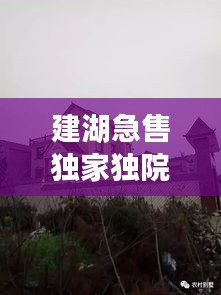 建湖急售獨(dú)家獨(dú)院，建湖哪里有30到40萬(wàn)的房子 
