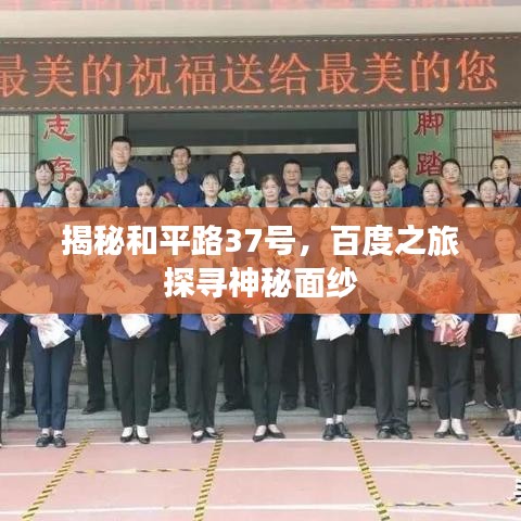 揭秘和平路37號，百度之旅探尋神秘面紗