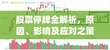 股票停牌全解析，原因、影響及應(yīng)對之策