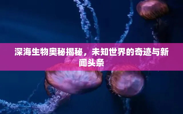 深海生物奧秘揭秘，未知世界的奇跡與新聞頭條
