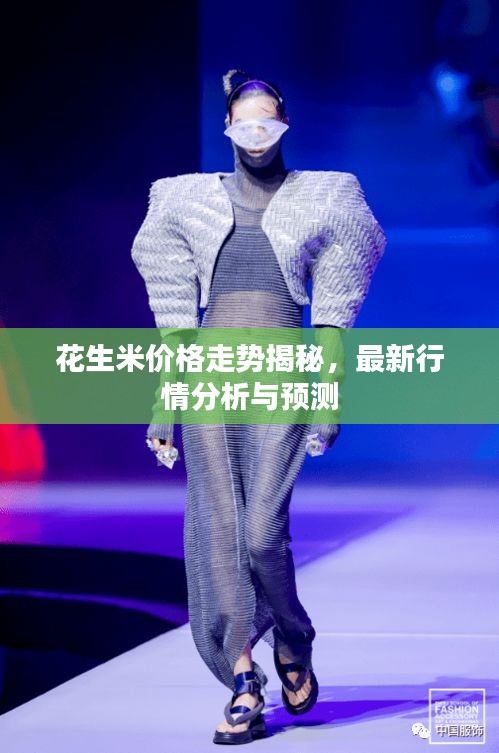 花生米價格走勢揭秘，最新行情分析與預測
