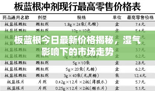 板藍根今日最新價格揭秘，濕氣影響下的市場走勢