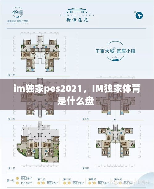 im獨家pes2021，IM獨家體育是什么盤 