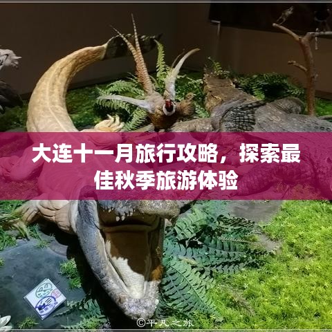 大連十一月旅行攻略，探索最佳秋季旅游體驗