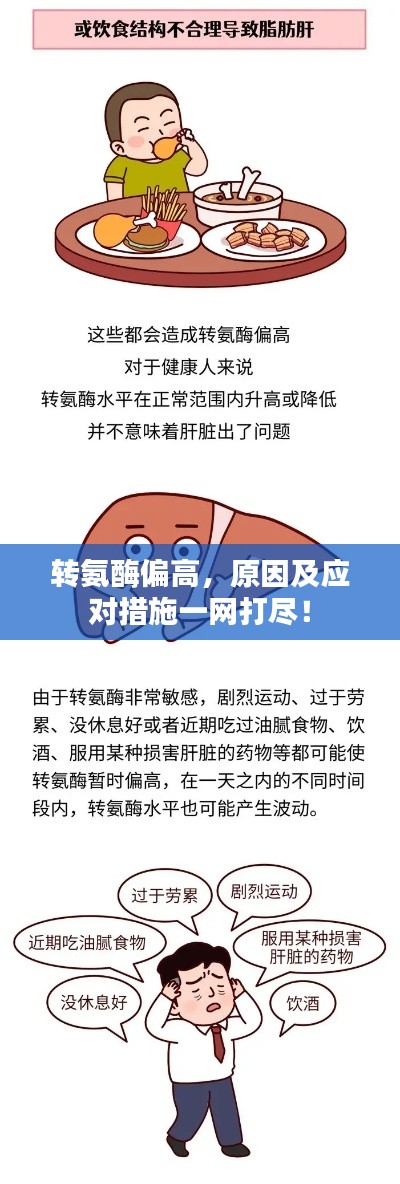 轉(zhuǎn)氨酶偏高，原因及應(yīng)對措施一網(wǎng)打盡！