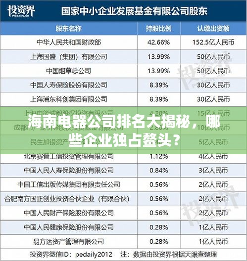 海南電器公司排名大揭秘，哪些企業(yè)獨(dú)占鰲頭？