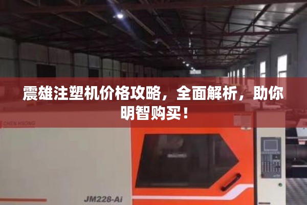震雄注塑機(jī)價格攻略，全面解析，助你明智購買！