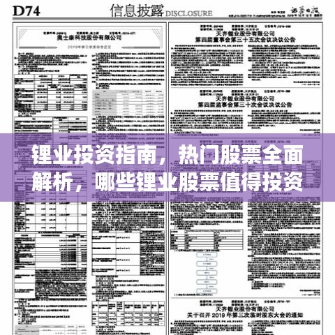 鋰業(yè)投資指南，熱門股票全面解析，哪些鋰業(yè)股票值得投資？