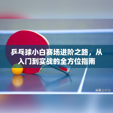 乒乓球小白賽場進階之路，從入門到實戰(zhàn)的全方位指南