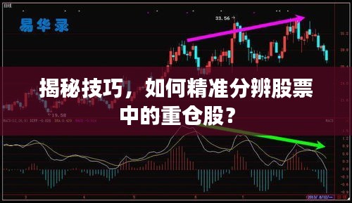 揭秘技巧，如何精準分辨股票中的重倉股？