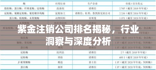 紫金注銷公司排名揭秘，行業(yè)洞察與深度分析