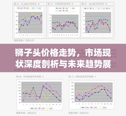 獅子頭價格走勢，市場現(xiàn)狀深度剖析與未來趨勢展望