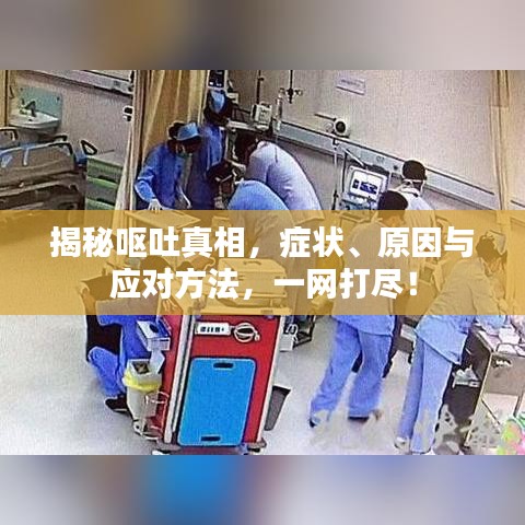 揭秘嘔吐真相，癥狀、原因與應(yīng)對方法，一網(wǎng)打盡！