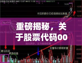重磅揭秘，關(guān)于股票代碼002294的全面深度解讀與分析