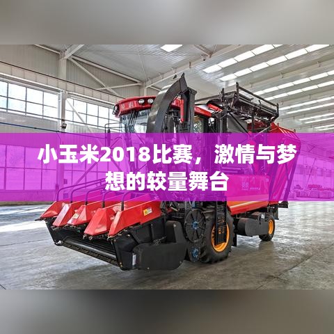 鳥棲蟲居 第2頁