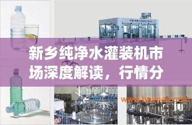 新鄉(xiāng)純凈水灌裝機市場深度解讀，行情分析與趨勢展望