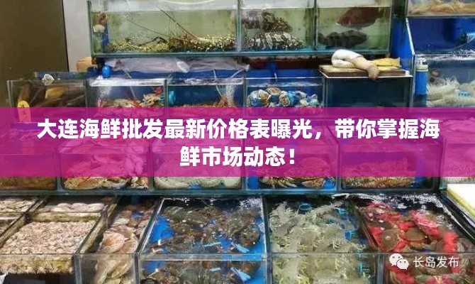 大連海鮮批發(fā)最新價格表曝光，帶你掌握海鮮市場動態(tài)！