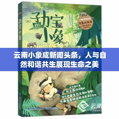 云南小象成新聞?lì)^條，人與自然和諧共生展現(xiàn)生命之美