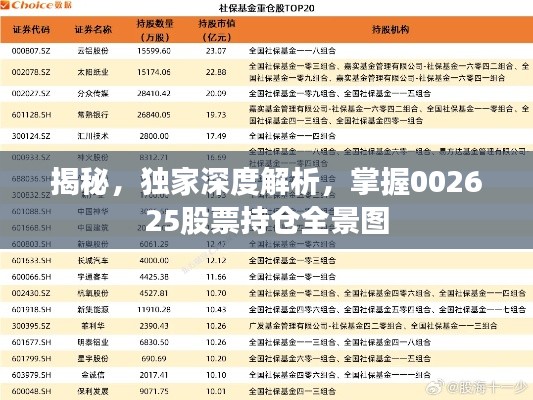 揭秘，獨家深度解析，掌握002625股票持倉全景圖