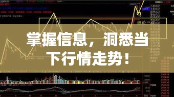 掌握信息，洞悉當(dāng)下行情走勢(shì)！