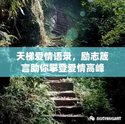 天梯愛(ài)情語(yǔ)錄，勵(lì)志箴言助你攀登愛(ài)情高峰