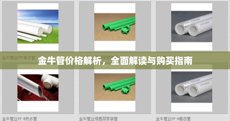金牛管價格解析，全面解讀與購買指南