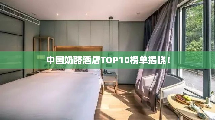 中國奶酪酒店TOP10榜單揭曉！