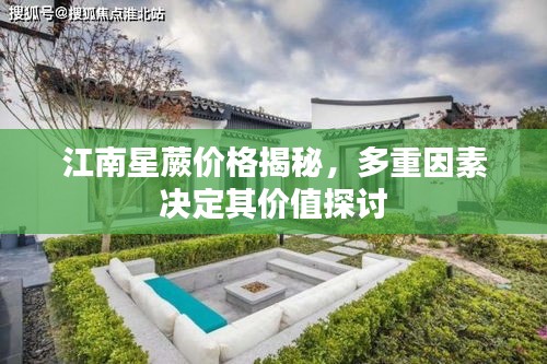 江南星蕨價格揭秘，多重因素決定其價值探討
