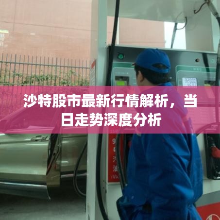 沙特股市最新行情解析，當(dāng)日走勢(shì)深度分析