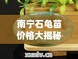 南寧石龜苗價(jià)格大揭秘，最新行情分析！