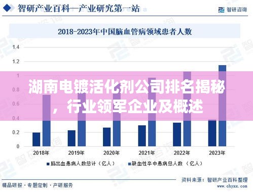 湖南電鍍活化劑公司排名揭秘，行業(yè)領(lǐng)軍企業(yè)及概述