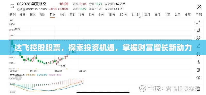 達飛控股股票，探索投資機遇，掌握財富增長新動力